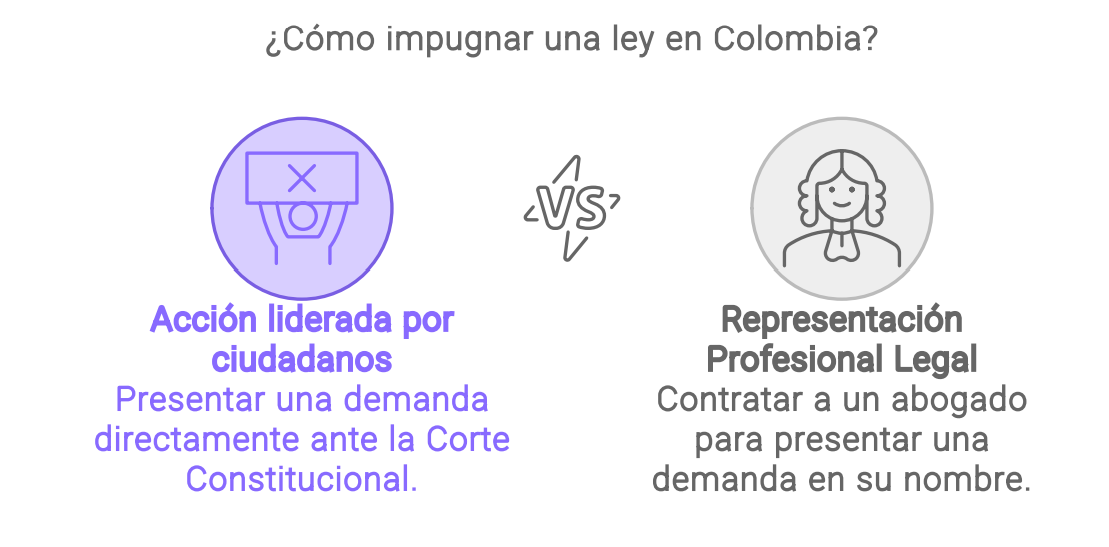 PROCEDIMIENTO PARA PRESENTAR DEMANDAS DE CONSTITUCIONALIDAD