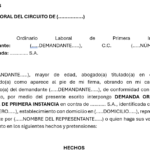 Modelo de Demanda Ordinaria Laboral: Trabajador Asociado – contrato realidad