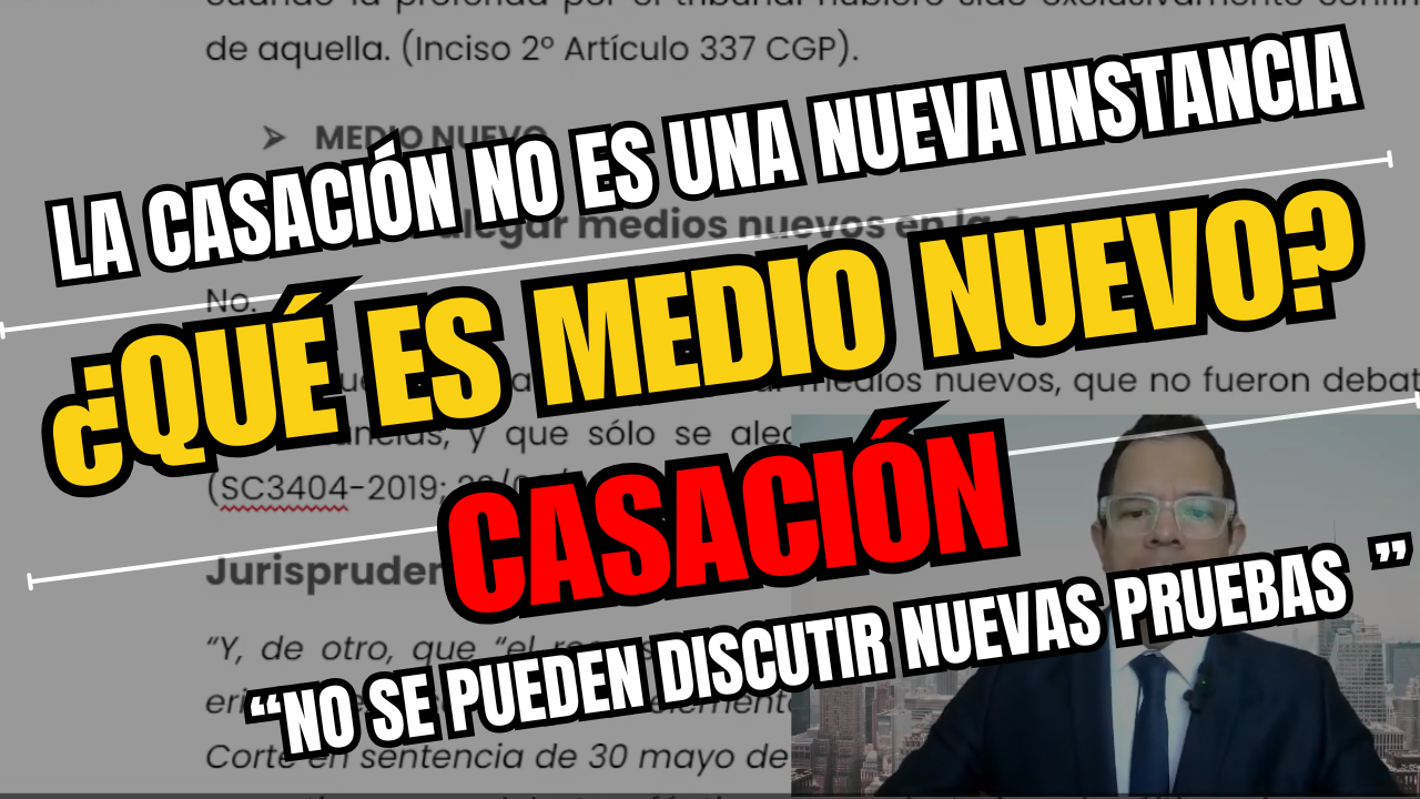 ¿Qué son Medios Nuevos en Casación?